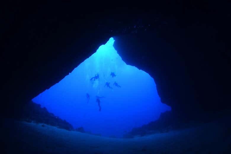 Desvende as Profundezas de Fernando de Noronha com Mergulhos Incríveis!