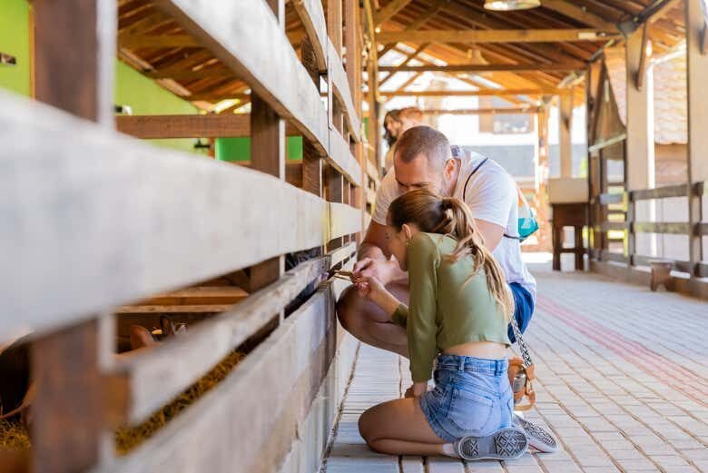 Ingresso para o Parque Spitz Pomer: Diversão e Aventura em Pomerode!