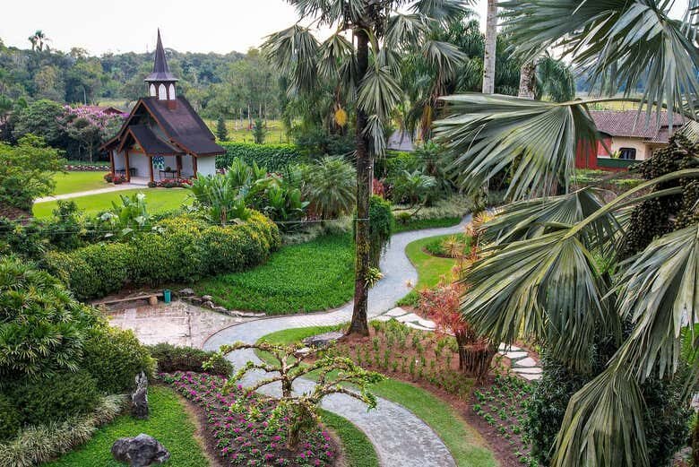 Desvende as Paisagens Rurais e Florais de Joinville: Uma Experiência Inesquecível!