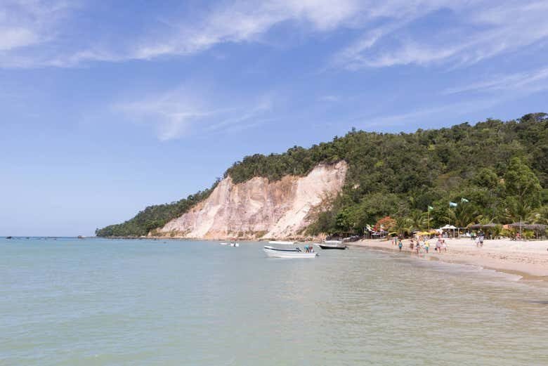 Passeio a Cavalo pela Ilha de Tinharé: Aventura e Beleza Natural em Morro de São Paulo!