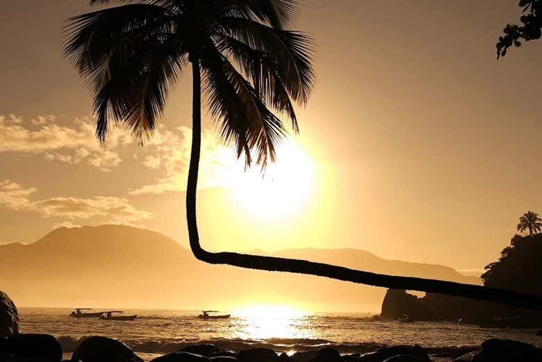 Explore as Belezas de Ilha Grande: Um Passeio Inesquecível pelo Paraíso Carioca!