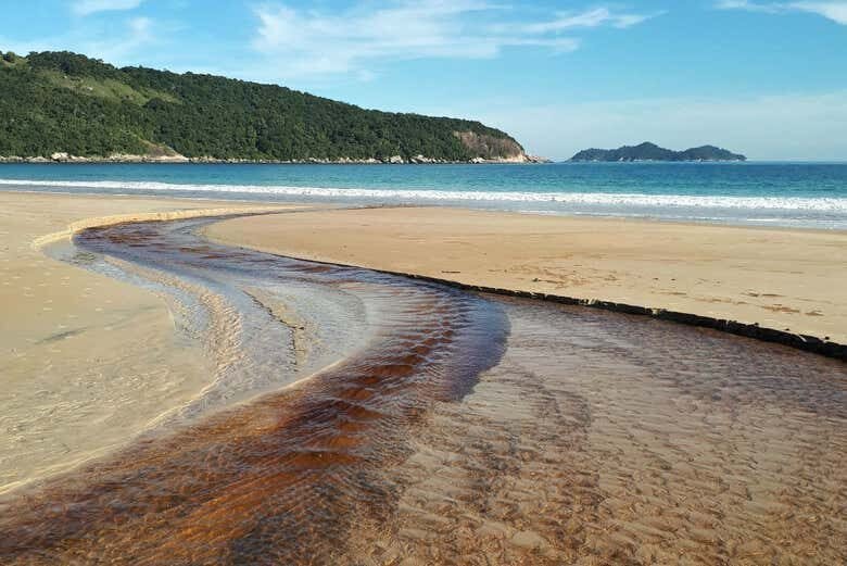 Aventuras no Paraíso: Descubra a Ilha Grande com Trilha e Praias de Encantar!