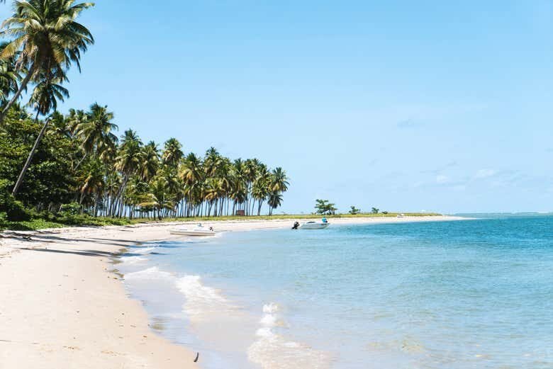 Excursão à Praia dos Carneiros: Um Paraíso no Nordeste Brasileiro!