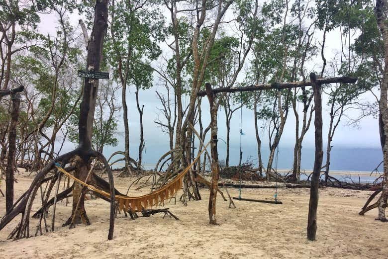Aventura no Oeste de Jeri: Manguezais, Dunas e Lagoas de Tatajuba!