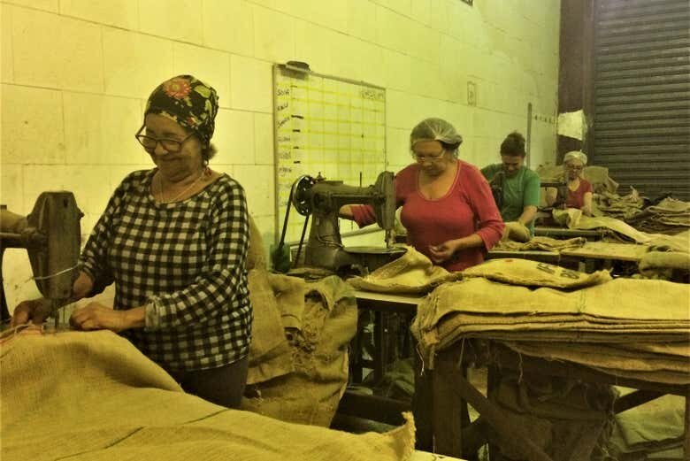 Tour Privado do Café em Santos: Conheça a História e Sabor do Ouro Verde no Brasil!