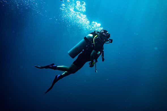 Curso de Mergulho NAUI Open Water em Ilhabela: Conquiste seu Certificado Internacional!