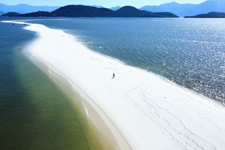 Avistamento de Golfinhos na Ilha de Marambaia!