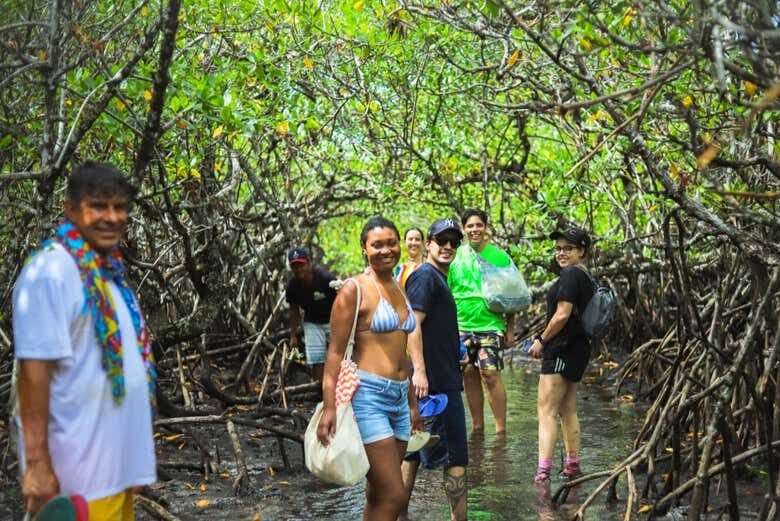 Trilha Pelas Praias de Jeribucaçu e Arruda + Cachoeira da Usina!