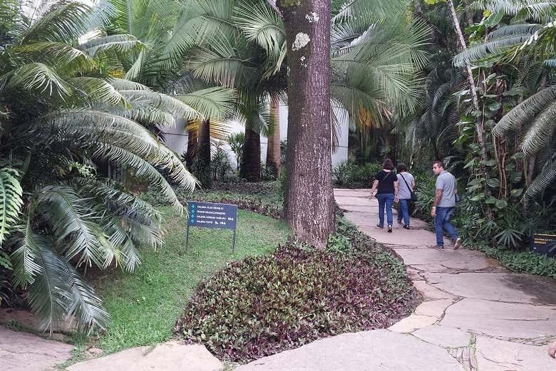 Excursão ao Instituto Inhotim: Arte ao Ar Livre na Mata Atlântica!