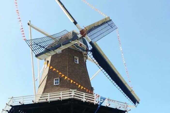 Um Dia na Holanda Brasileira: Tour Histórico por Castrolanda + Campos Gerais!