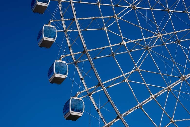 Tour pelo BioParque + Roda-gigante Rio Star!