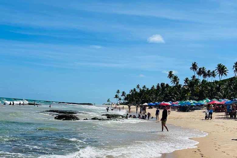 Explore as Maravilhosas Praias Tambaba e Coqueirinho em João Pessoa!