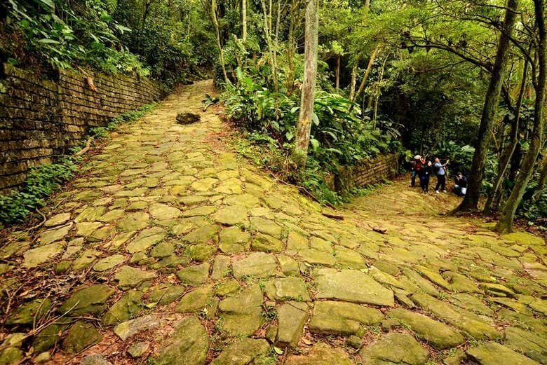 Explore a História e Natureza na Trilha Privada pela Estrada Velha de Santos!