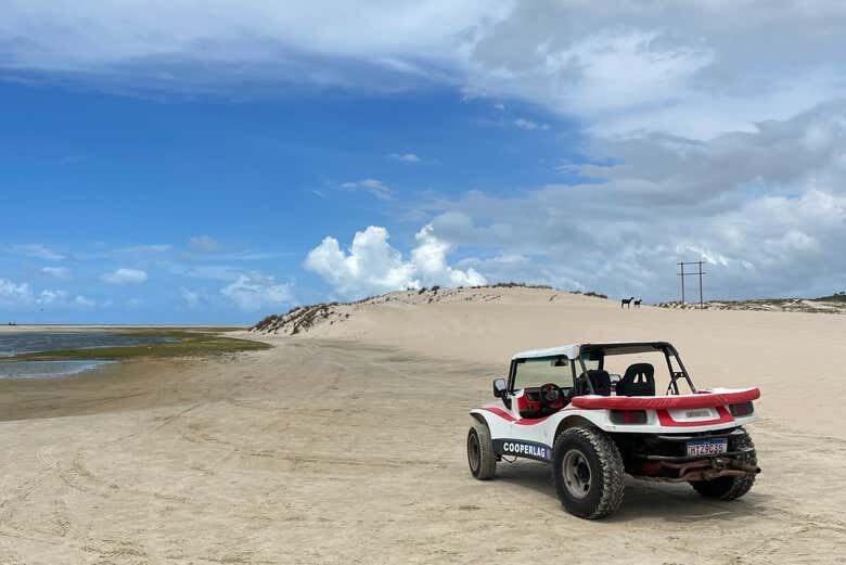 Aventura Total em Lagoinha: Buggy, Catamarã e Pau-de-Arara!