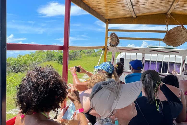 Aventura Total em Lagoinha: Buggy, Catamarã e Pau-de-Arara!