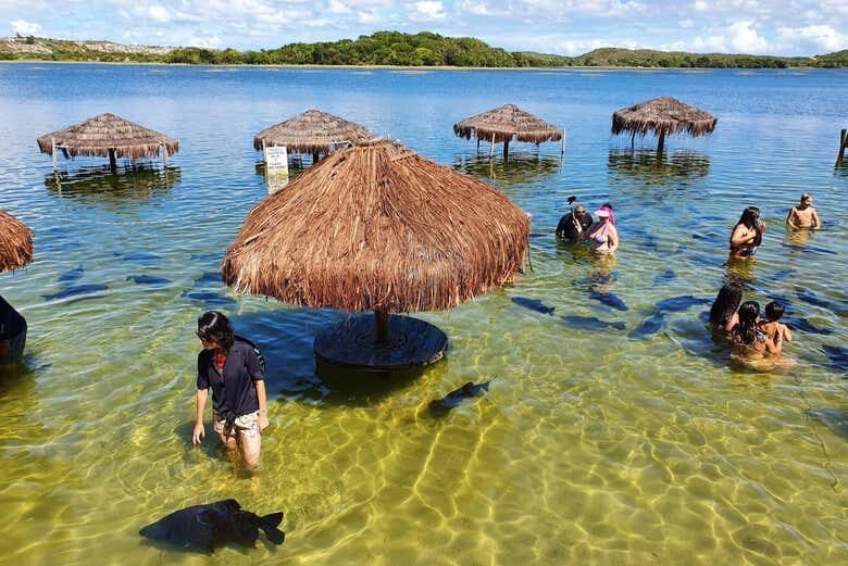 Exploração Incrível na Praia do Saco e Lagoa dos Tambaquis!