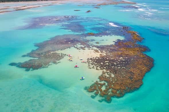 Excursão a Maragogi - Mergulhe nas Águas Cristalinas!