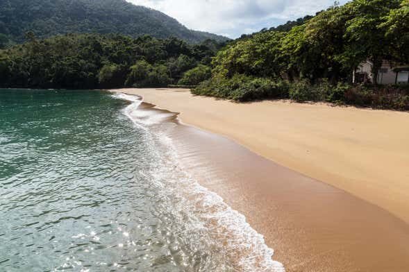 Explore As Maravilhas da Ilha Anchieta: Passeio de Lancha Inesquecível!