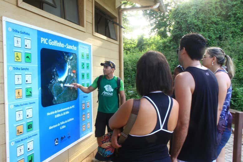 Trilha e Avistamento de Golfinhos em Fernando de Noronha!