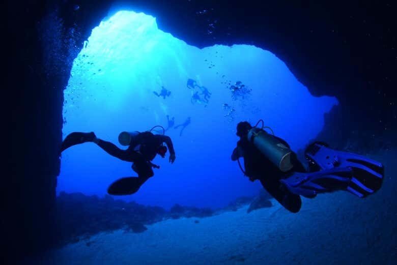 Desvende as Profundezas de Fernando de Noronha com Mergulhos Incríveis!
