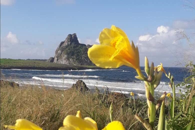 Explore as Belezas do Morro São José em Fernando de Noronha!