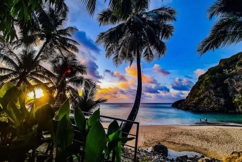 Explore as Piscinas Naturais de Fernando de Noronha com Snorkel!