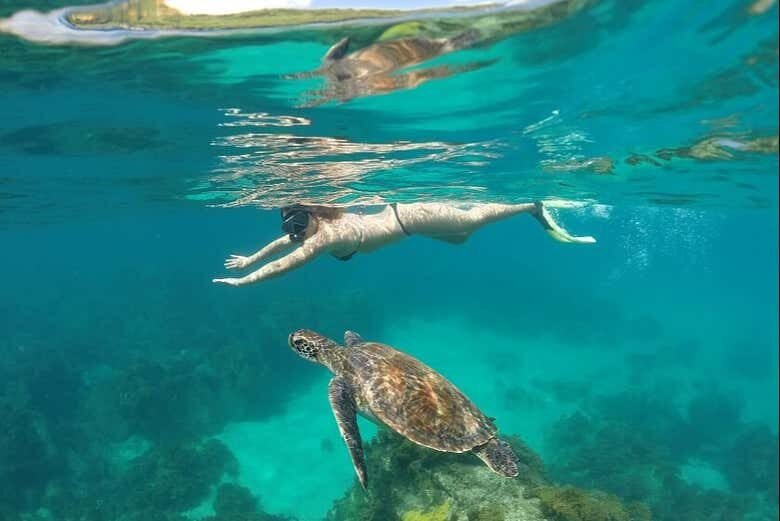 Aventura de Canoa Havaiana em Fernando de Noronha: Explore o Paraíso de Forma Única!