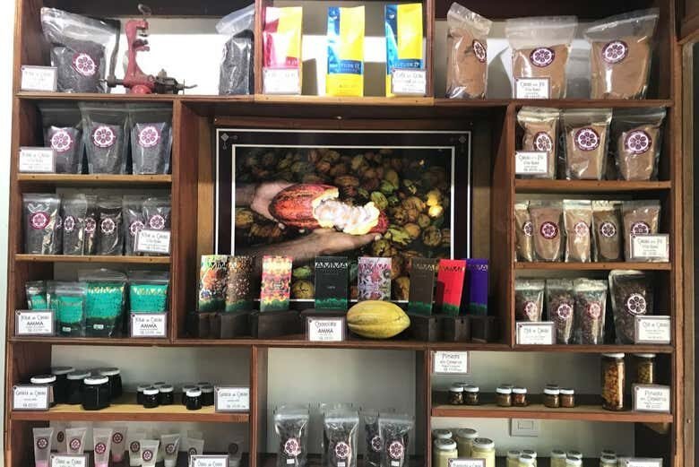 Experiência Imersiva na Famosa Fazenda de Cacau Vila Rosa na Bahia!