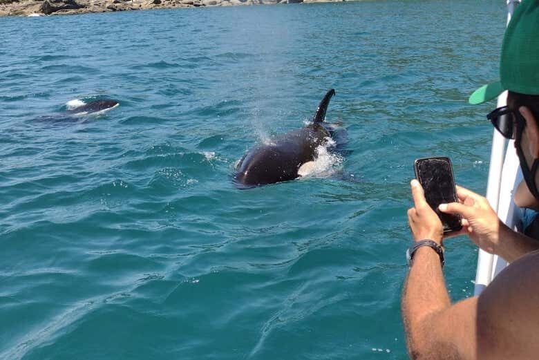 Descubra as Ilhas do Lado Norte de Ubatuba com um Passeio de Lancha!