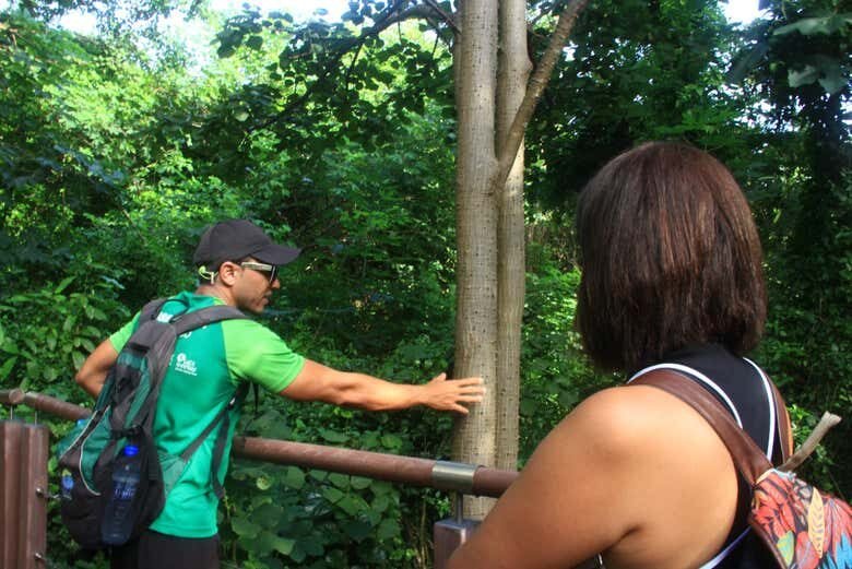 Trilha e Avistamento de Golfinhos em Fernando de Noronha!