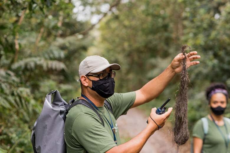 Trilha até a Cachoeira do Guaratuba: Aventure-se na Natureza Selvagem!