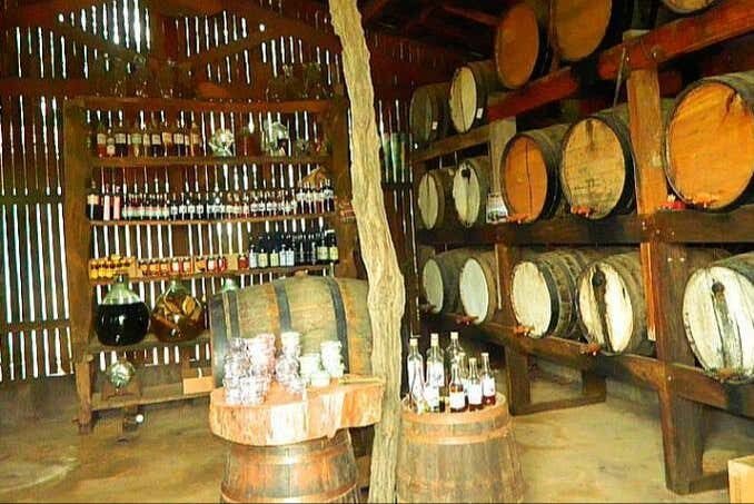 Exploração Enogastronômica em Serra Negra, Socorro e Monte Alegre do Sul: Uma Aventura para os Amantes de Cachaça e Café!