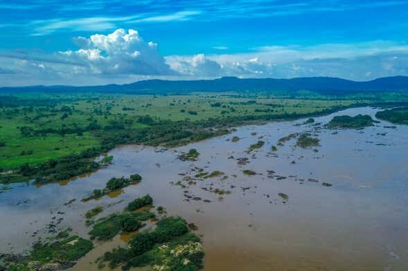 Aventuras Inesquecíveis na Ilha do Bananal e Parque do Cantão em 5 Dias!
