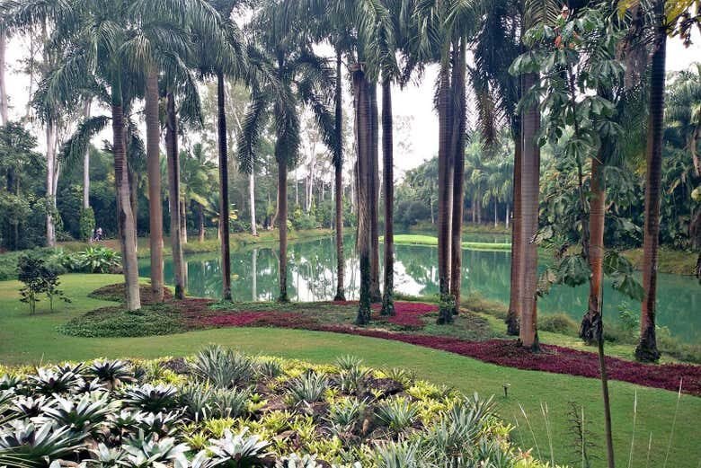 Exploração Artística: Excursão ao Instituto Inhotim desde Belo Horizonte!