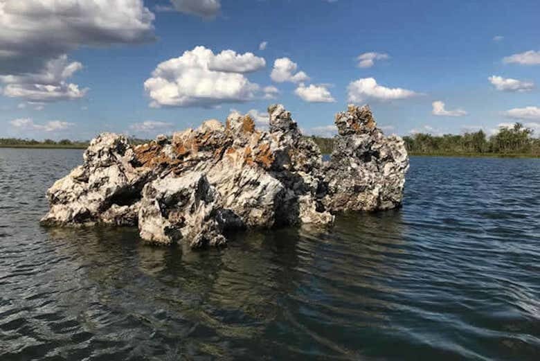 Exploração Encantadora na Ilha do Bananal e Parque do Cantão em 3 Dias!
