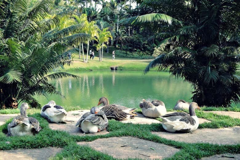 Exploração Artística: Excursão ao Instituto Inhotim desde Belo Horizonte!