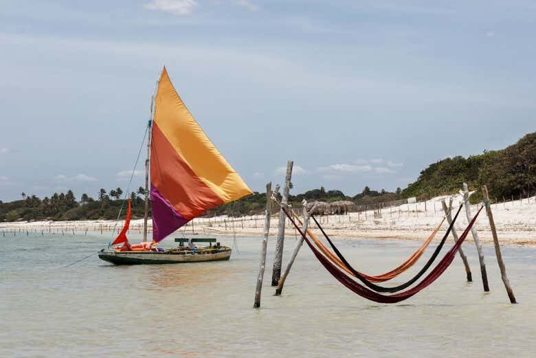 Rota Leste Encantada: Árvore da Preguiça + Lagoa do Paraíso em Jeri!