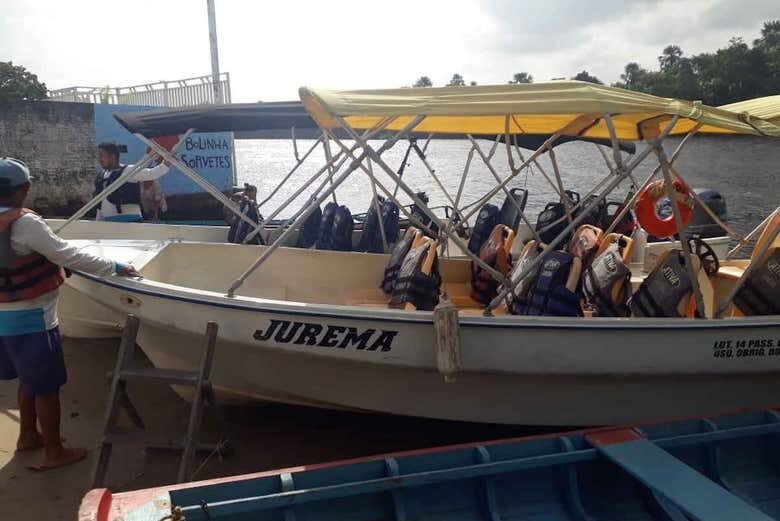 Explore a Natureza e Vivencie um Passeio Incrível pelo Rio Preguiças!