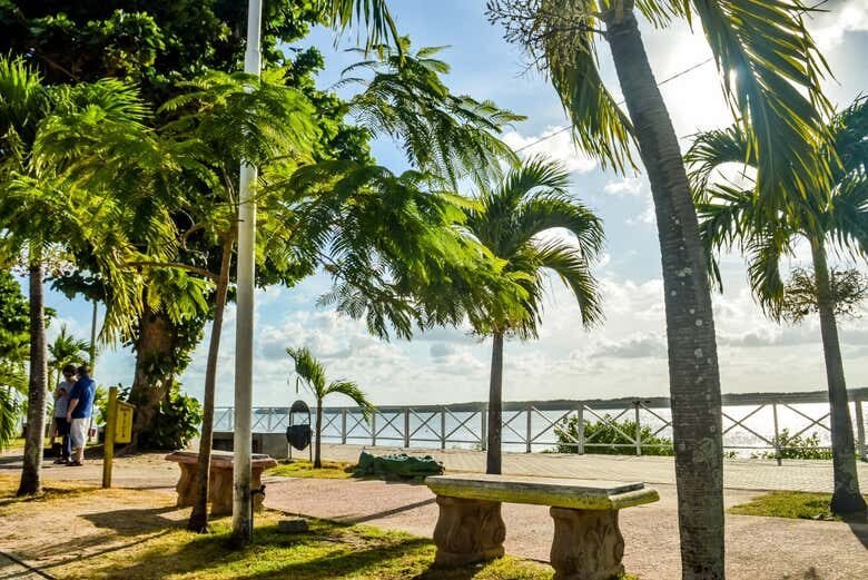 Descubra as Belezas do Litoral Norte da Paraíba!