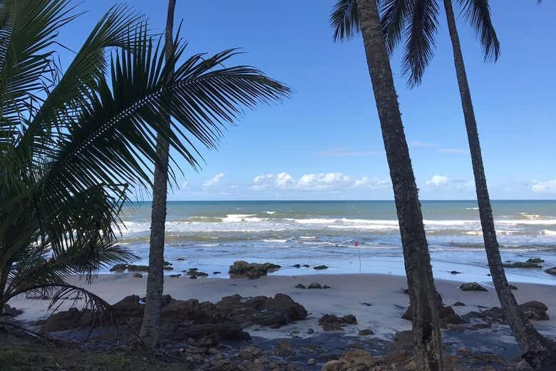 Trilha Pelas Praias de Jeribucaçu e Arruda + Cachoeira da Usina!