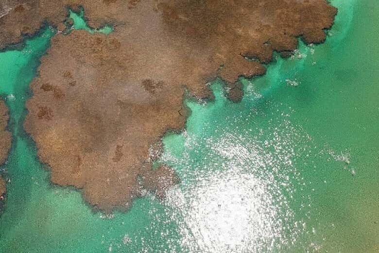 Excursão Incrível a Taipu de Fora e Ilhas Paradisíacas!