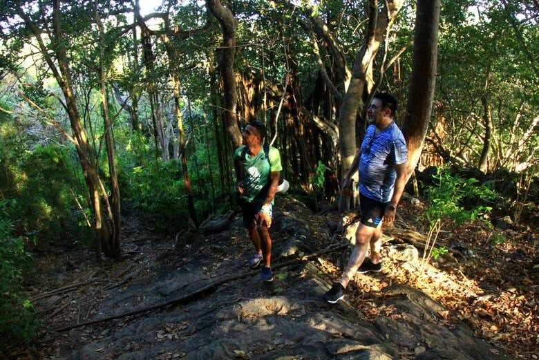 Descubra as Paisagens Deslumbrantes de Fernando de Noronha: Trilha do Piquinho!