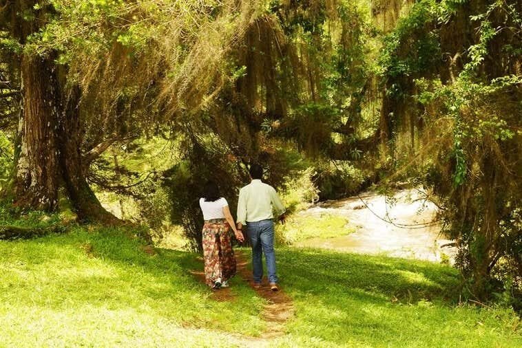 Explore a História e Natureza da Fazenda Esperança em Monte Verde!