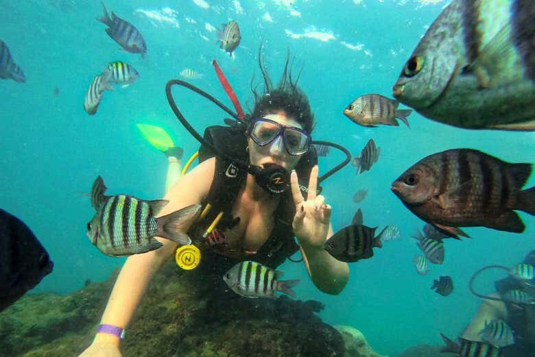 Descubra o Fascinante Mundo Submarino com um Mergulho em Porto de Galinhas!