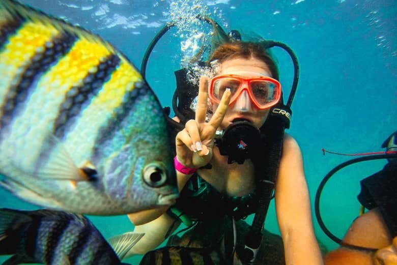 Descubra o Fascinante Mundo Submarino com um Mergulho em Porto de Galinhas!