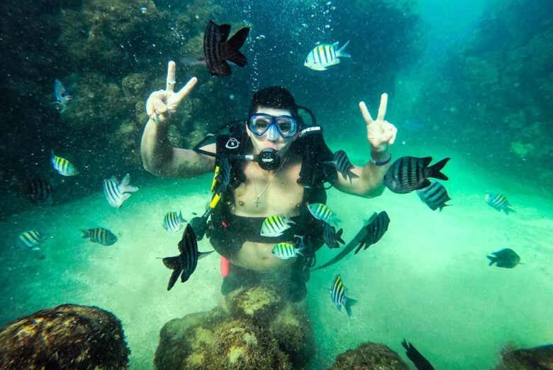 Descubra o Fascinante Mundo Submarino com um Mergulho em Porto de Galinhas!