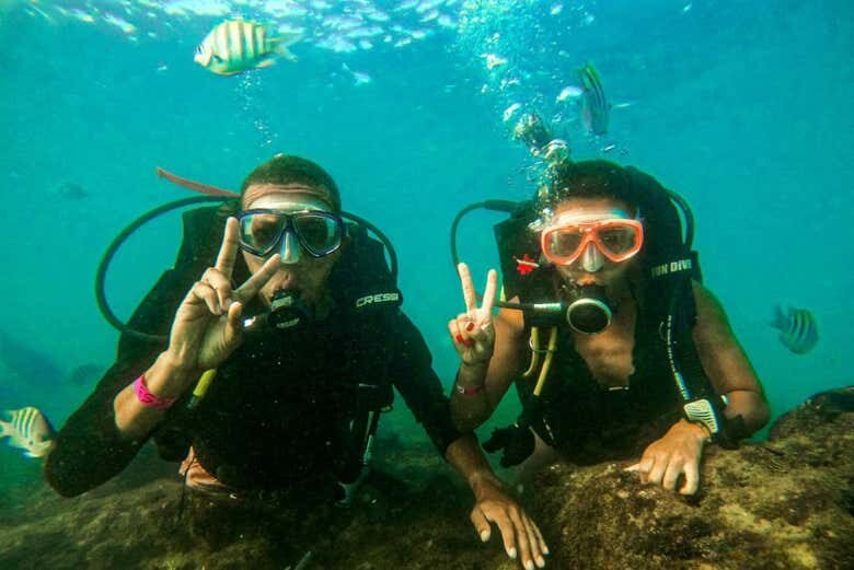 Descubra o Fascinante Mundo Submarino com um Mergulho em Porto de Galinhas!