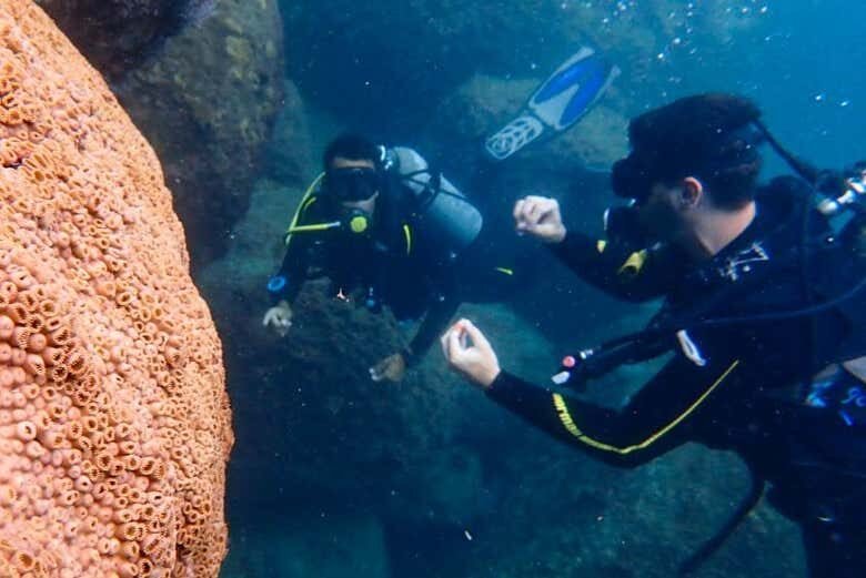 Curso de Mergulho NAUI Open Water em Ilhabela: Conquiste seu Certificado Internacional!