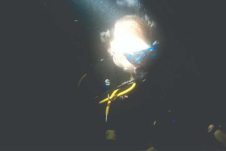 Mergulho Noturno em Ilhabela: Uma Aventura Subaquática Inesquecível!