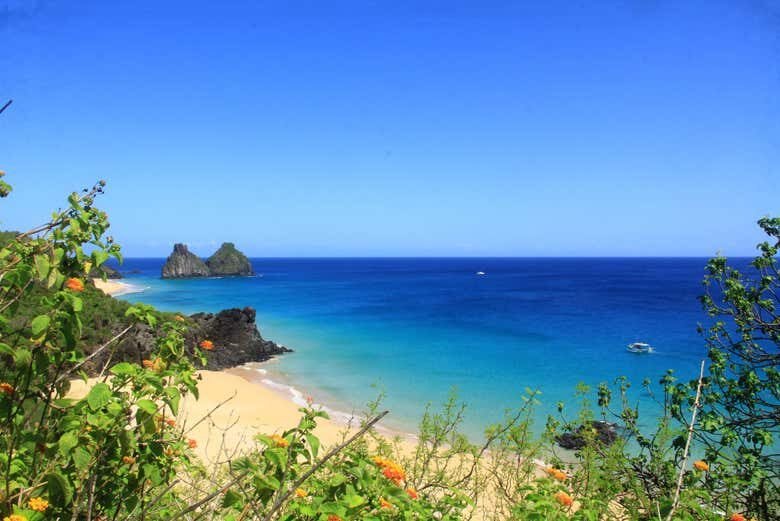 Descubra as Praias Paradisíacas de Fernando de Noronha com a Trilha da Costa Esmeralda!